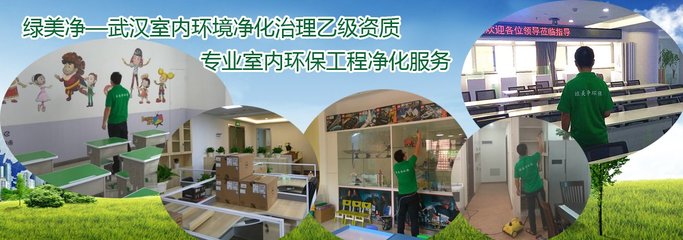 武汉绿美净环保科技