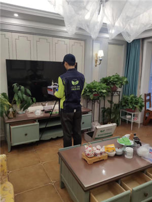 荆州可俐爱除甲醛观澜国际甲醛治理