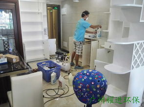 广州专业除甲醛公司怎么样方法有哪些