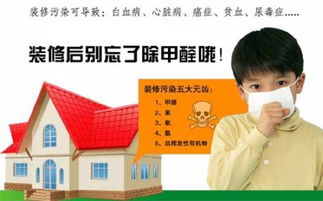 江西南昌除甲醛公司选什么公司好