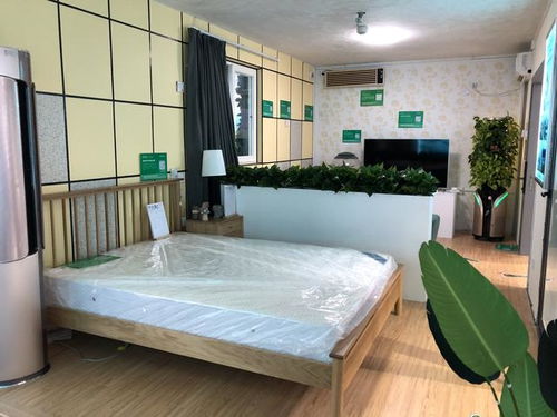 专注绿色居住环境,住绿科技受邀参展第二十届高交会