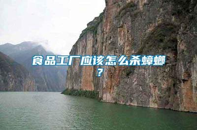 食品工厂应该怎么杀蟑螂?
