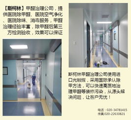 广州室内消毒哪里有 广州室内消毒 斯柯林专业服务高清图片 高清大图