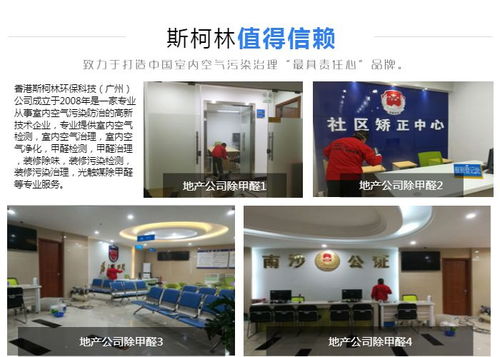 广州甲醛治理公司 斯柯林甲醛检测 番禺甲醛治理公司