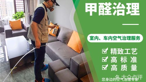 家装去甲醛易拉宝|平面|宣传物料|南林有雁.