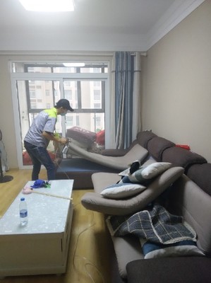 室内车内除甲醛治理公司收费情况,新装修办_武汉小小叶子环保科技 - 商国互联网
