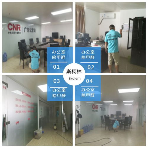 天河除甲醛公司 斯柯林专业服务好 番禺除甲醛公司