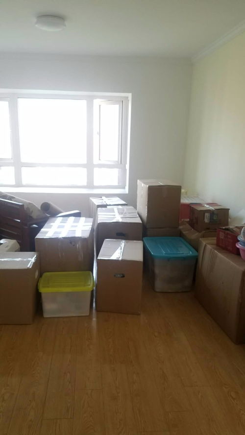 图 上海崇明蚂蚁搬家电话24小时服务来电 随叫随到 上海搬家
