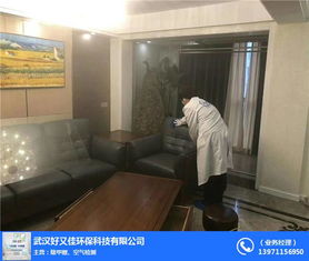 甲醛检测治理哪家好 汉阳甲醛检测治理 好又佳环保