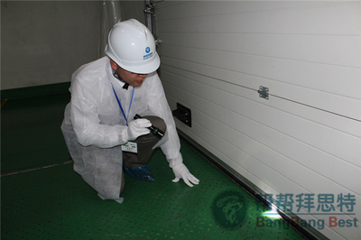 灭鼠公司说说工厂灭鼠应该怎么何做?