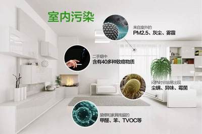 快速解决室内甲醛的有效的办法是什么?以下几点很重要!