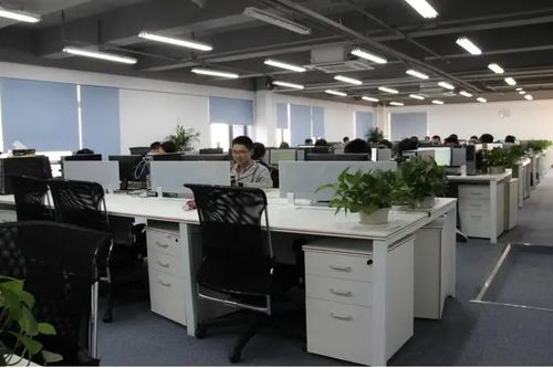 融资公司和没有融资的公司有哪些不同之处