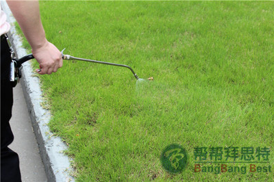 工厂企业如何做好飞虫消杀